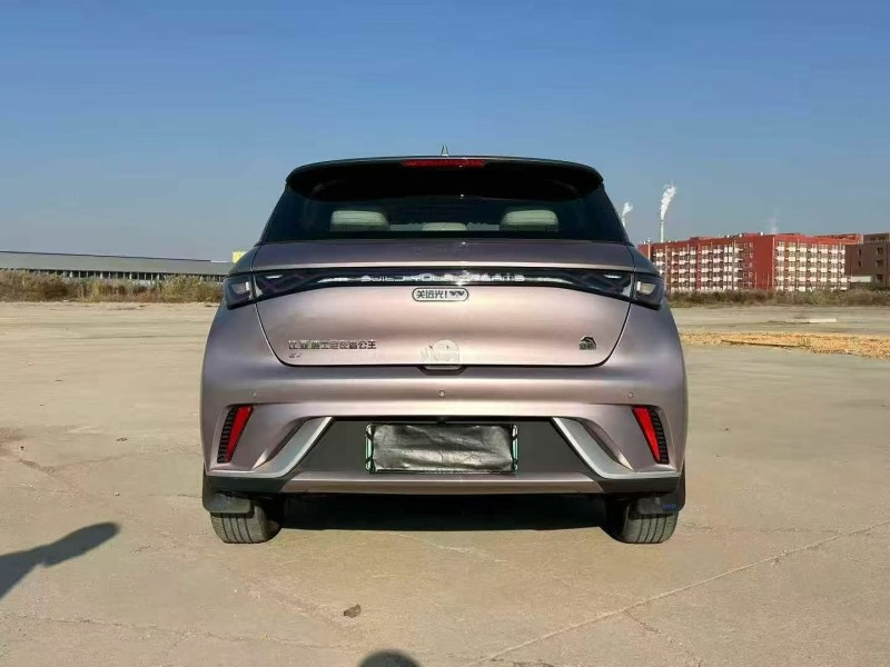 承德22年比亚迪海豚9