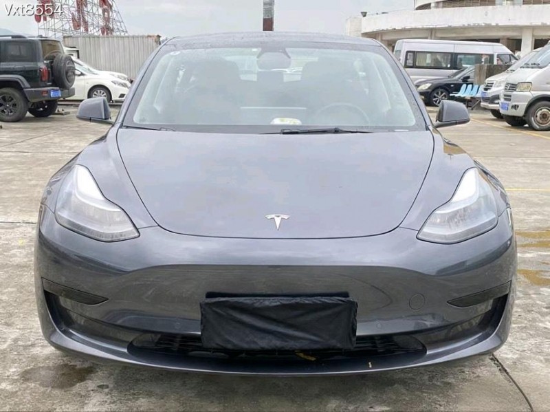 东莞21年特斯拉MODEL 31