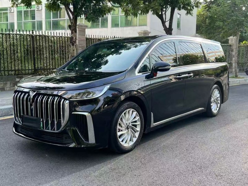 广州24年岚图汽车梦想家3