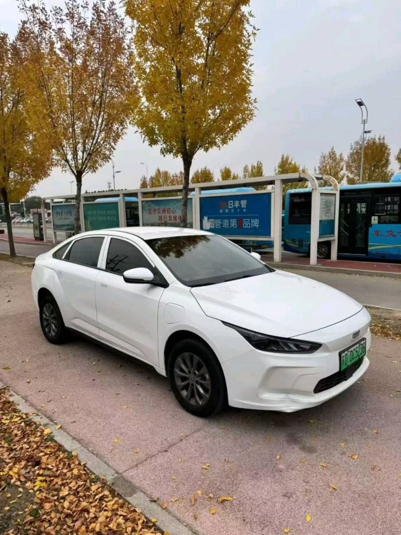 枣庄24年吉利几何2