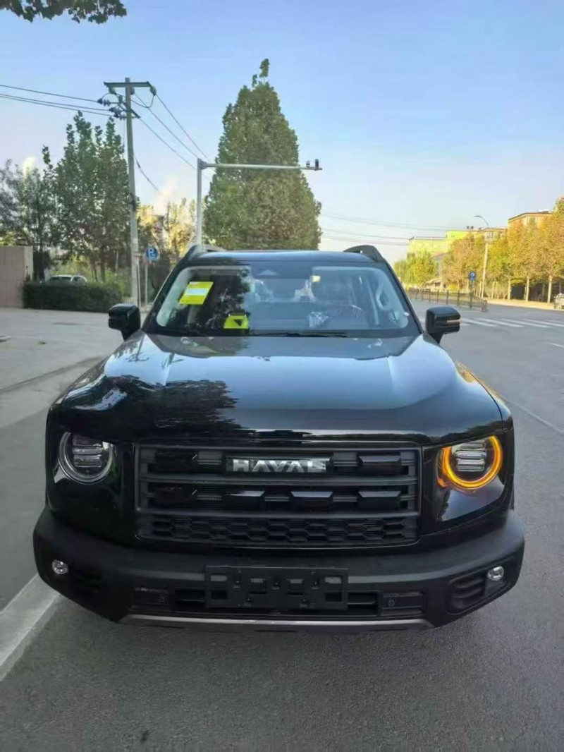 唐山25年哈弗大狗1