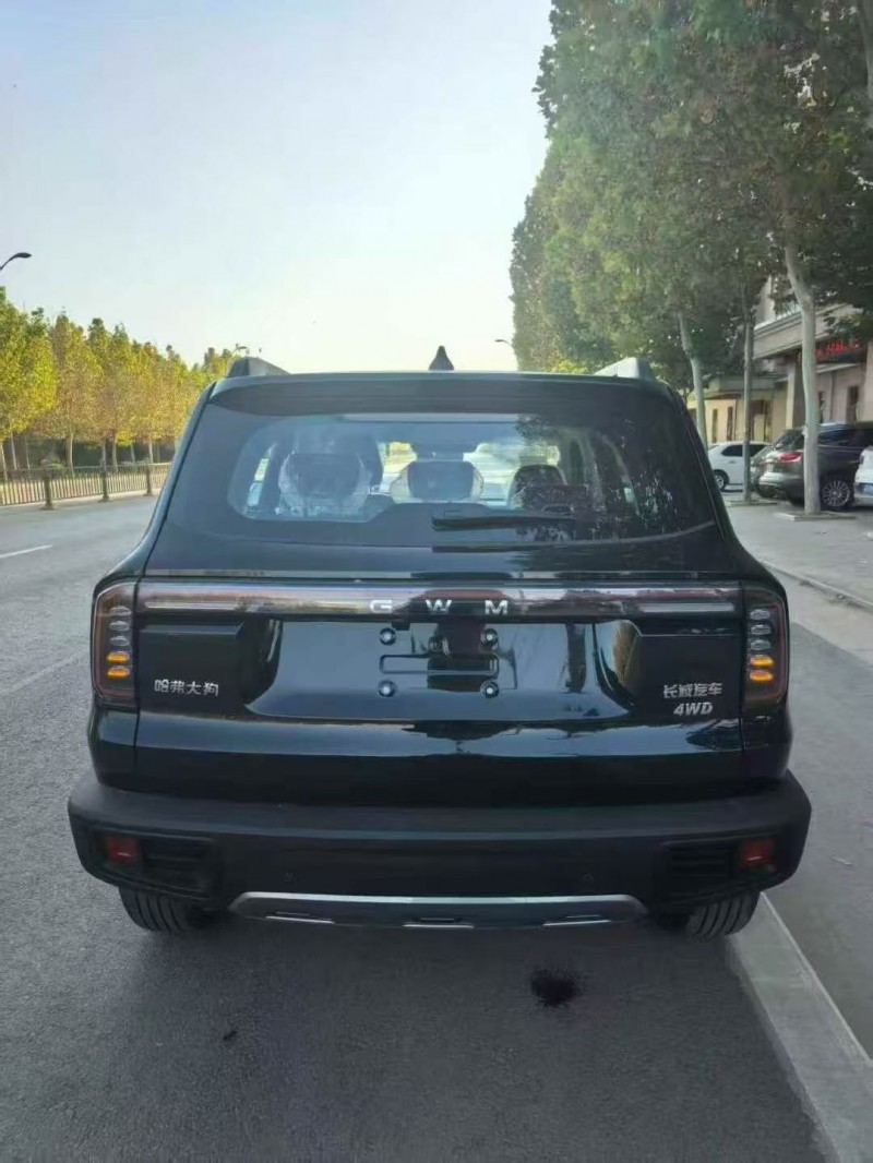 唐山25年哈弗大狗8