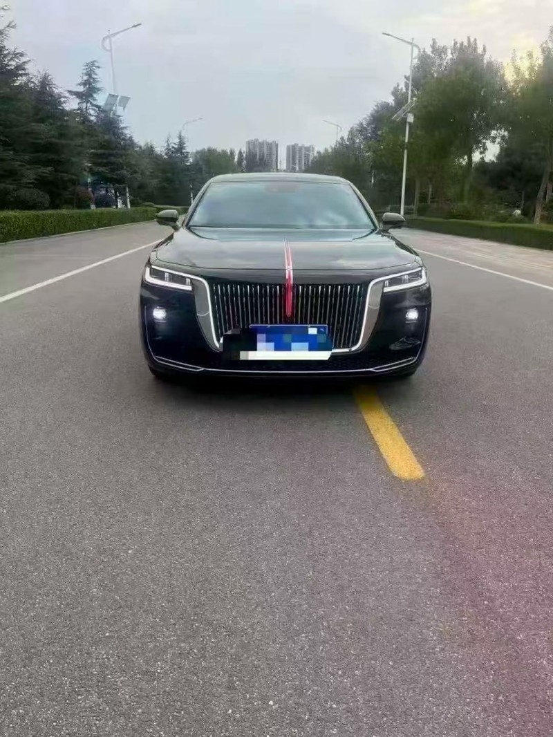 潍坊23年红旗H91