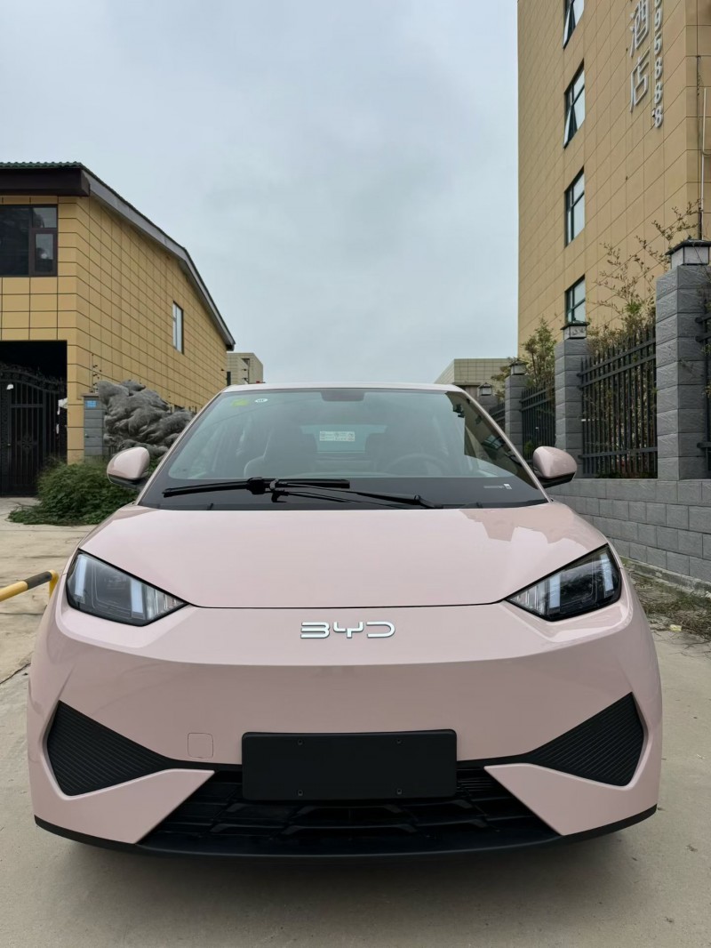 平顶山25年比亚迪海鸥1