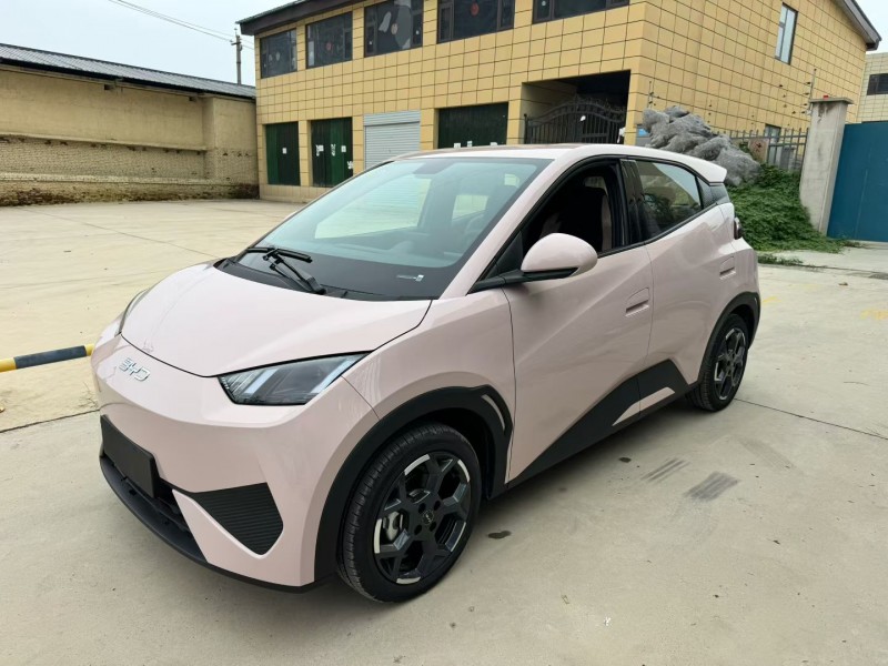 平顶山25年比亚迪海鸥3