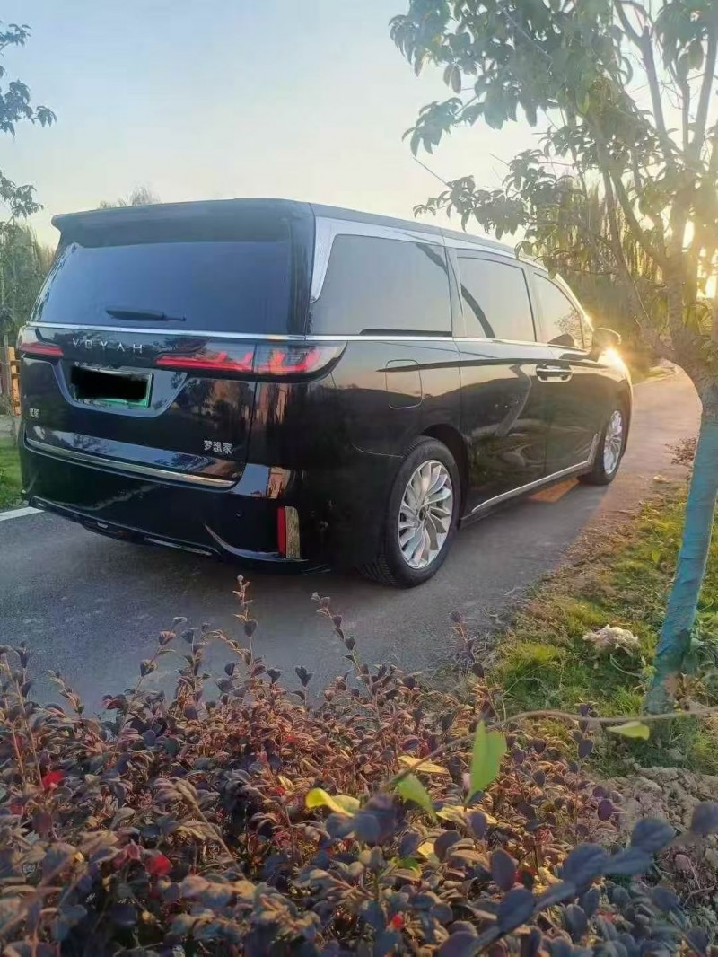 芜湖24年岚图汽车梦想家8