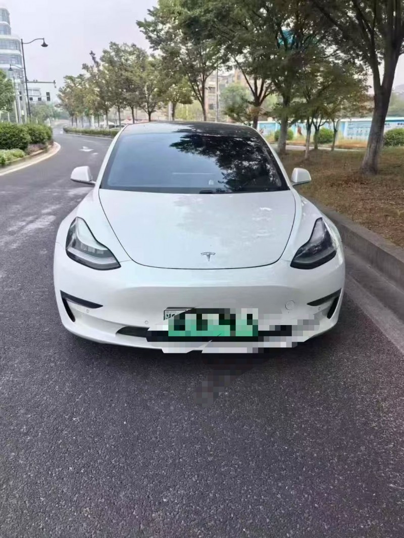 绍兴19年特斯拉MODEL 31