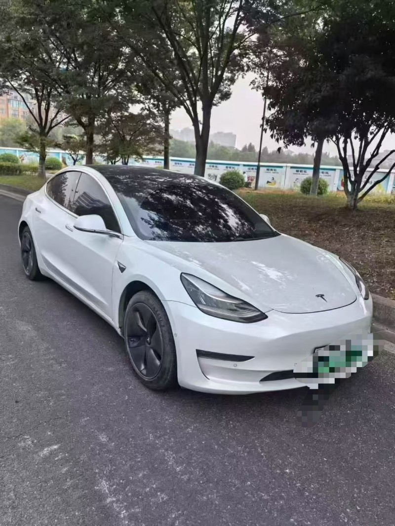 绍兴19年特斯拉MODEL 32