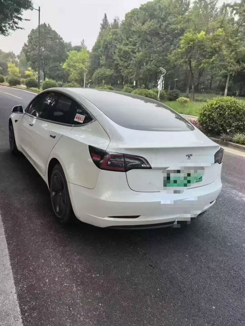 绍兴19年特斯拉MODEL 38