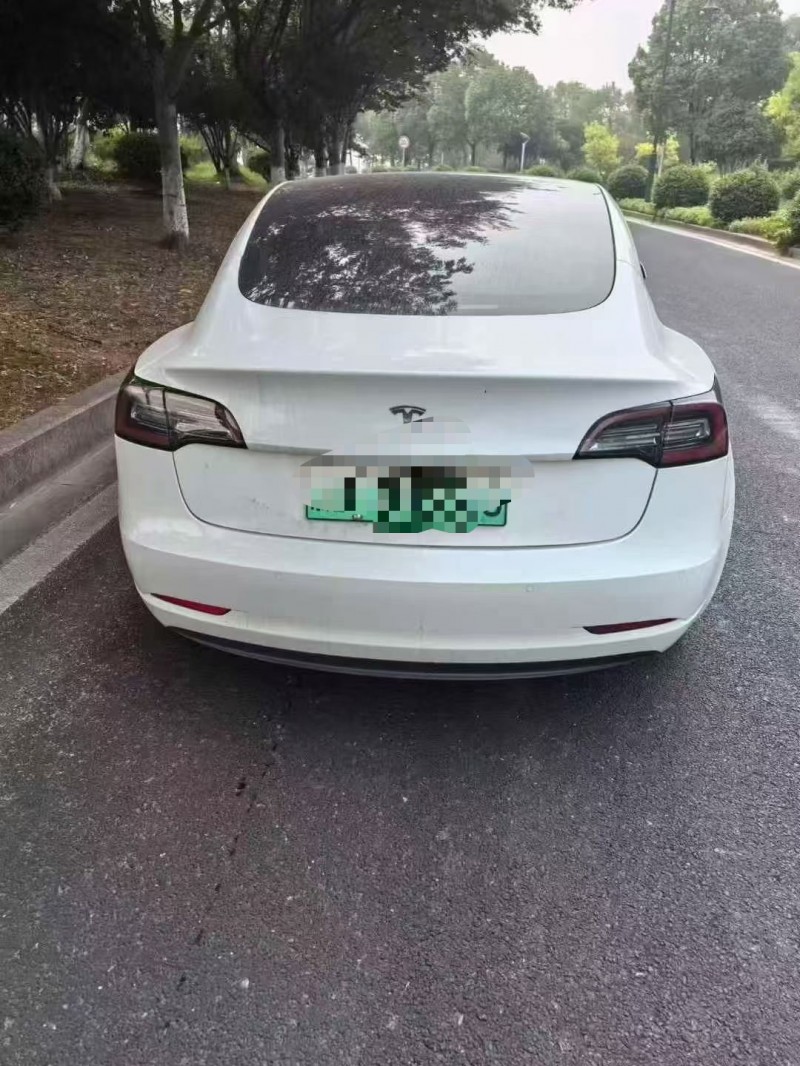 绍兴19年特斯拉MODEL 39