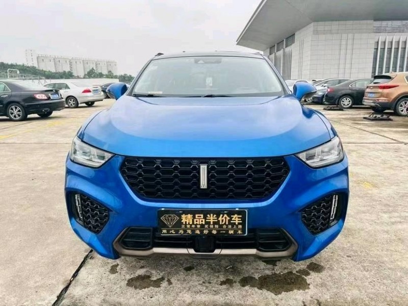 广州18年长城汽车WEY1