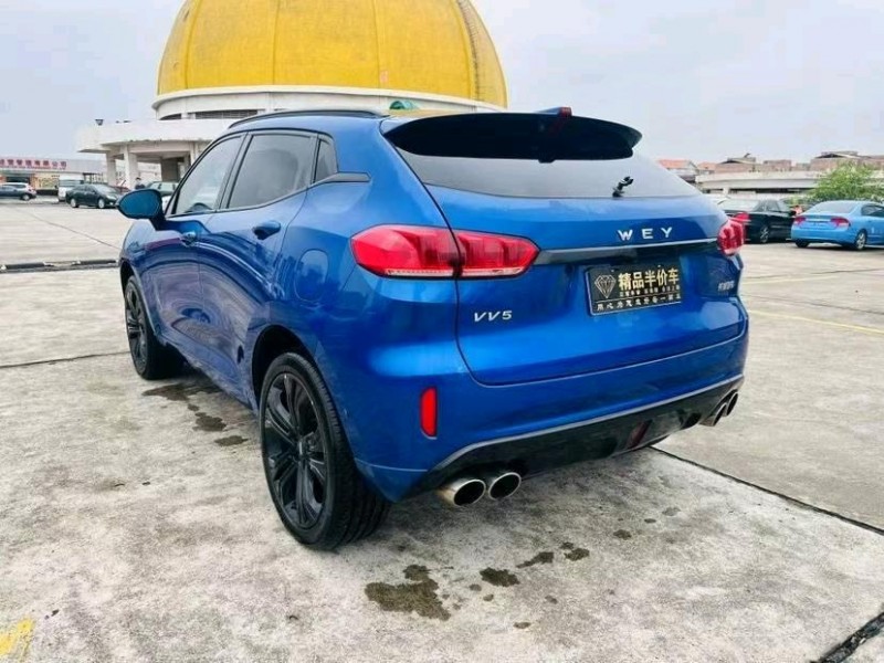 广州18年长城汽车WEY9