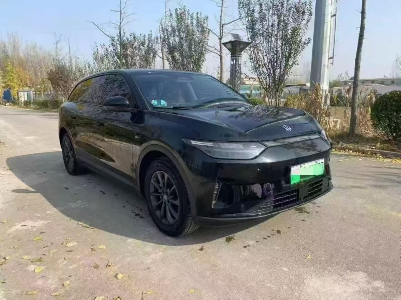 枣庄24年零跑汽车C112