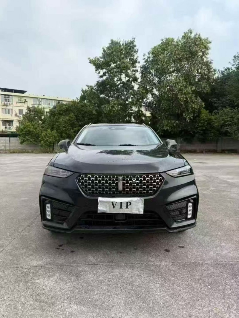 柳州20年长城汽车魏牌1