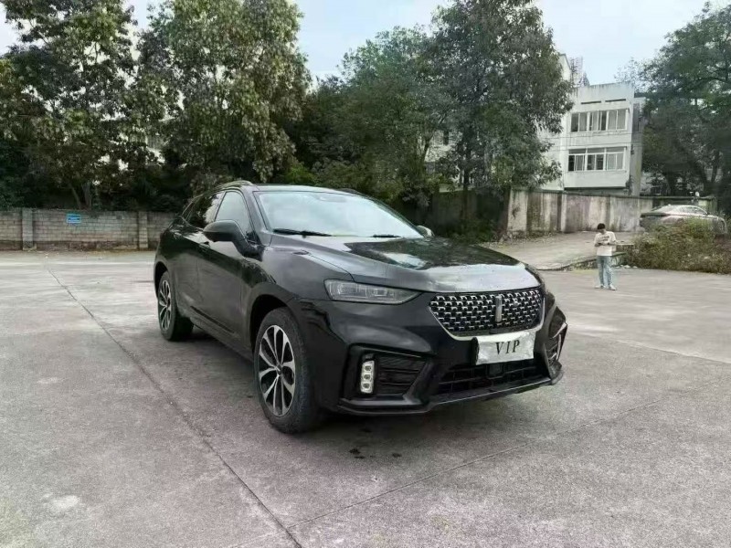 柳州20年长城汽车魏牌2