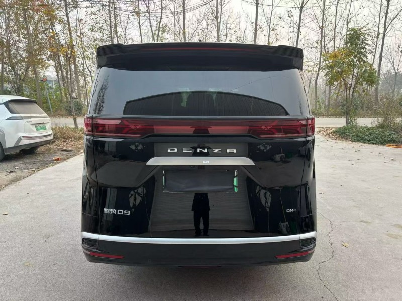 徐州24年腾势D99