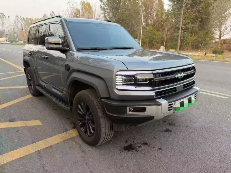 秦皇岛24年比亚迪方程豹5