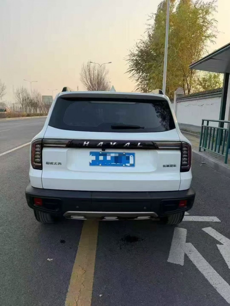 秦皇岛21年哈弗大狗9