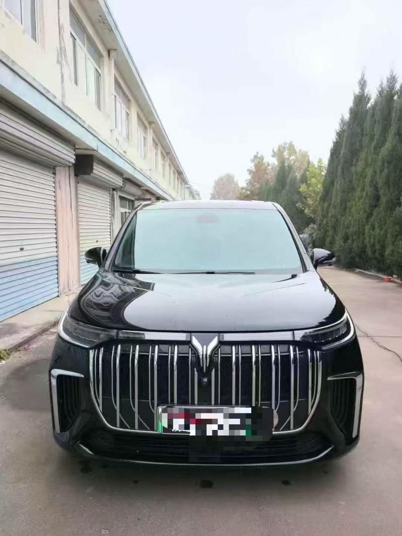 枣庄24年岚图汽车梦想家1