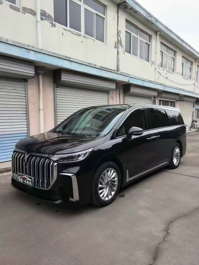 枣庄24年岚图汽车梦想家3