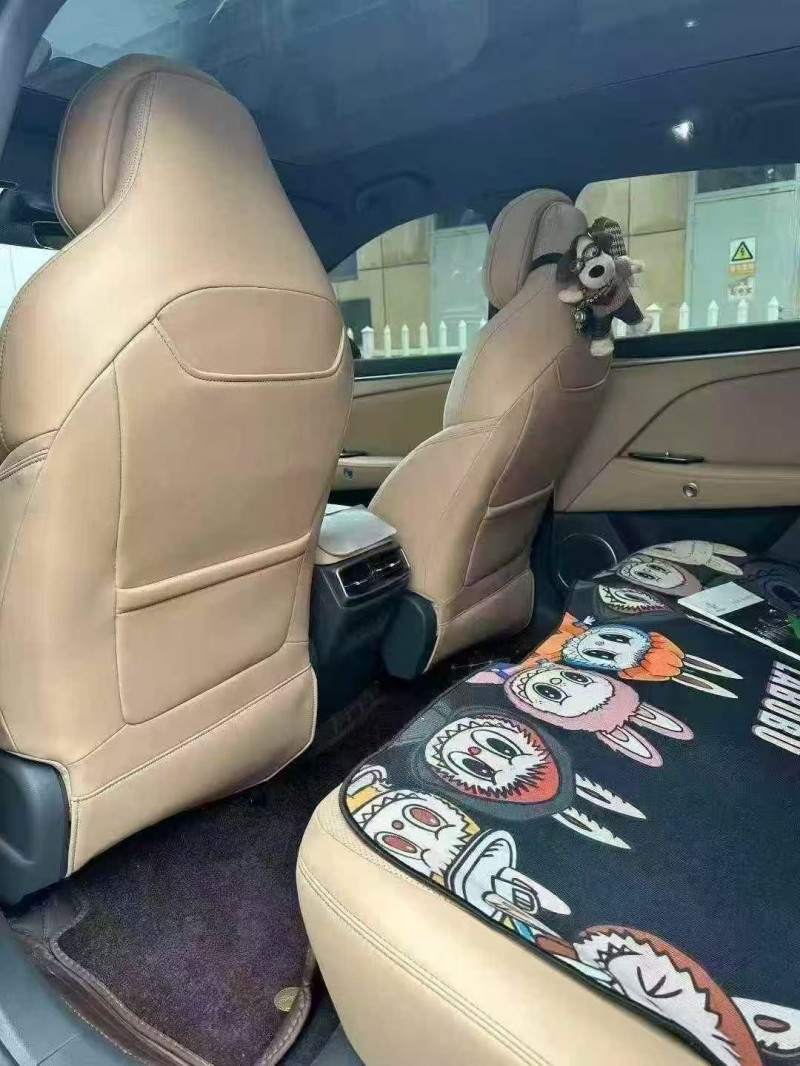 济宁25年极狐汽车阿尔法6