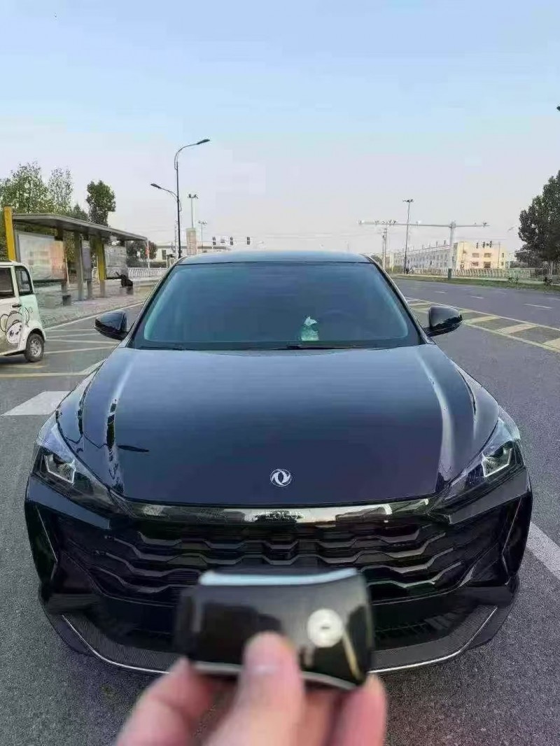 蚌埠25年东风奕炫1