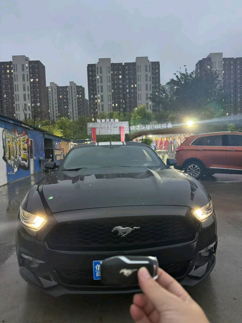 淄博17年福特野马1