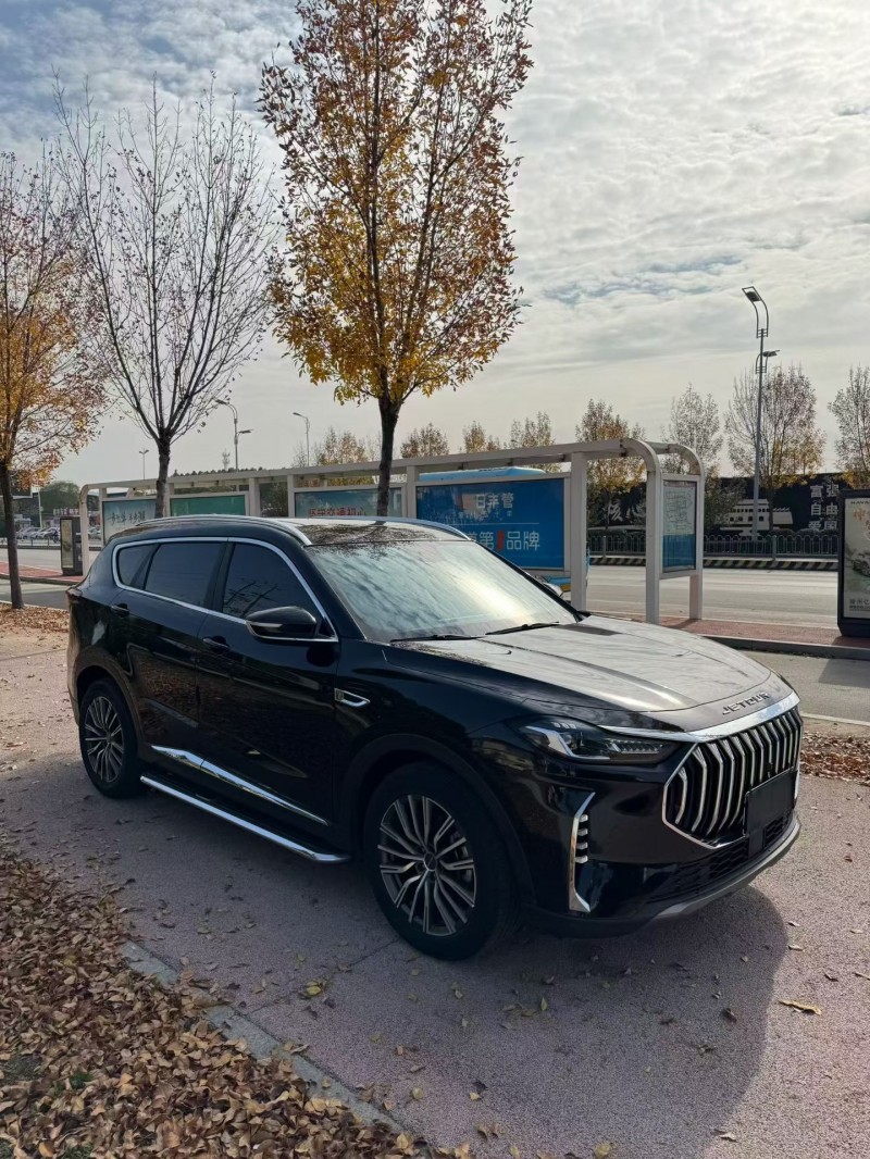 东营23年奇瑞捷途2