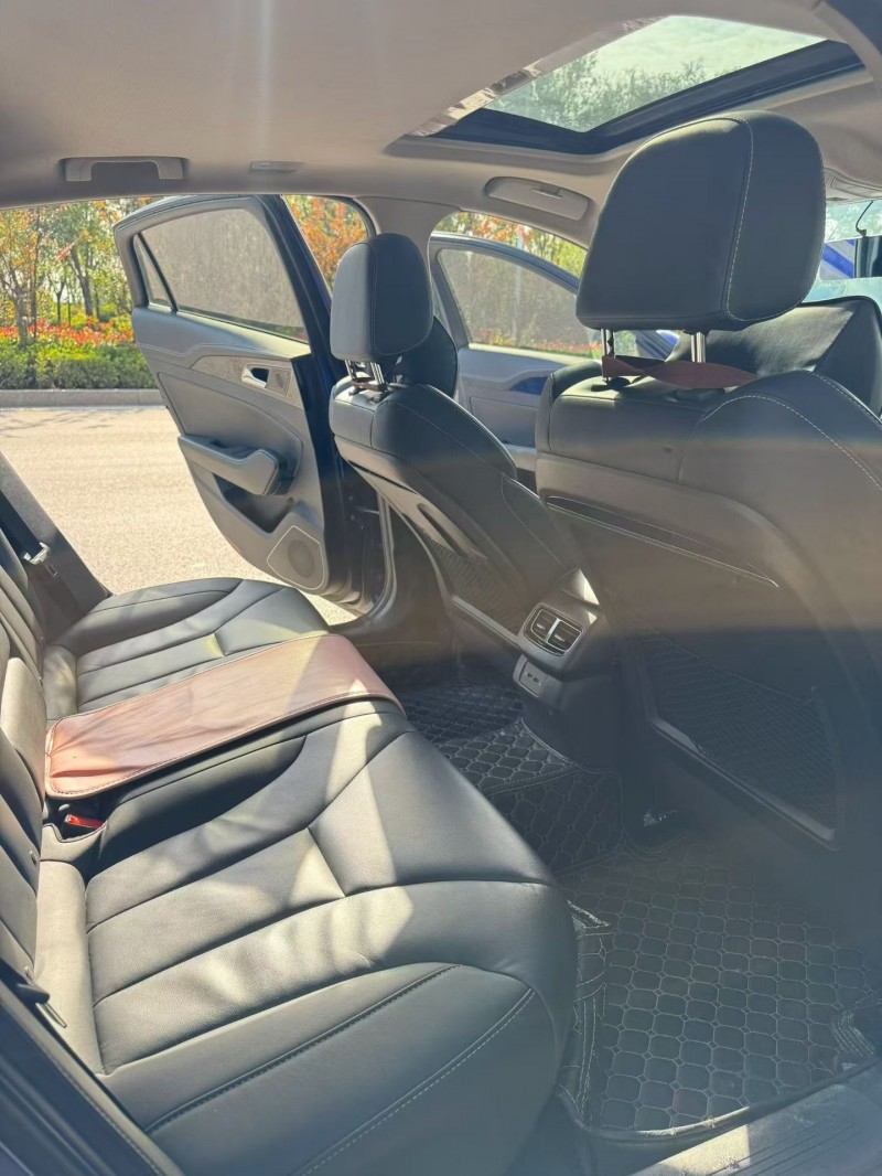 枣庄20年红旗H55