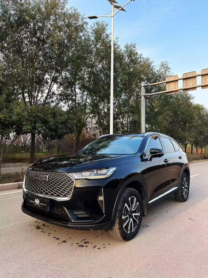 泰安22年哈弗H63