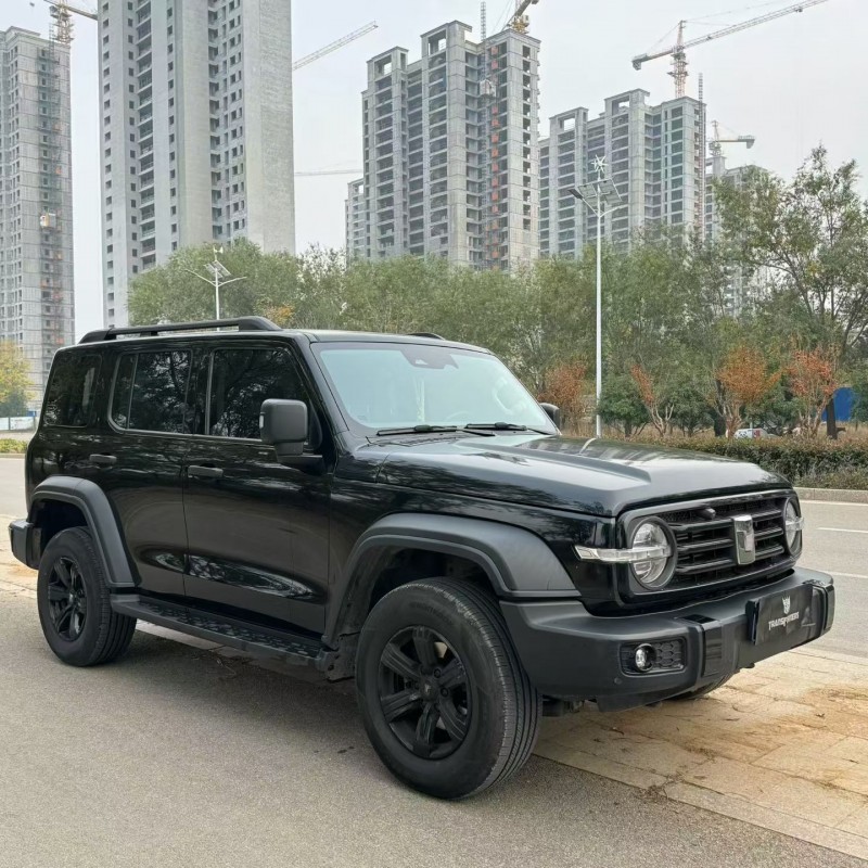 东营23年长城汽车坦克2