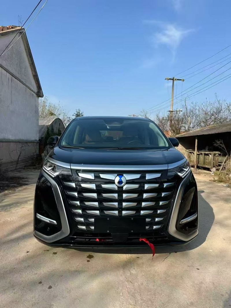 淄博24年腾势D91