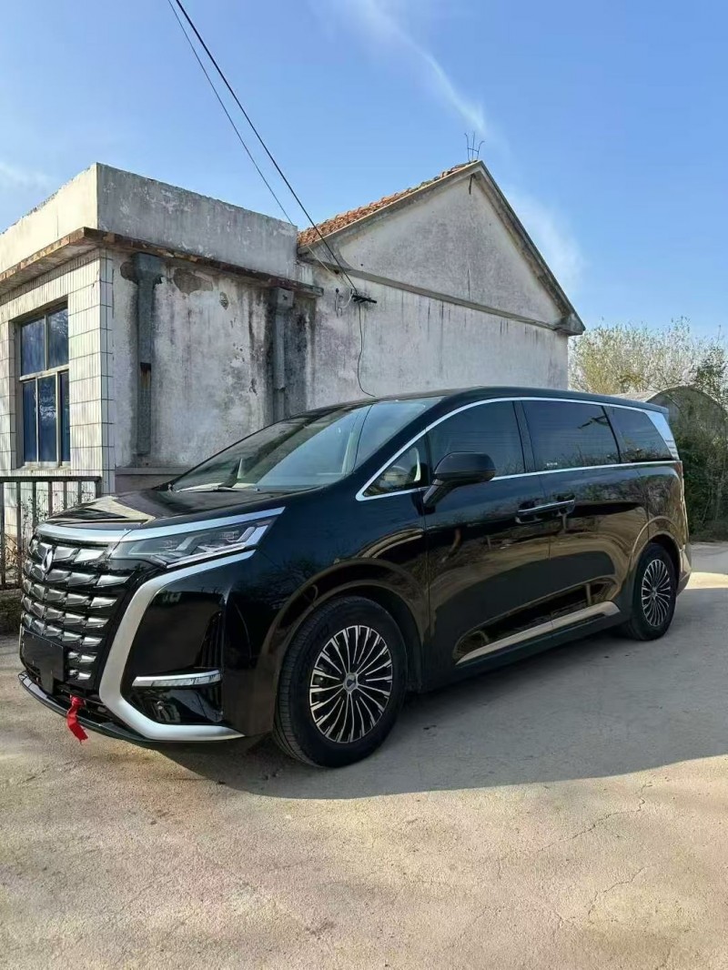 淄博24年腾势D92