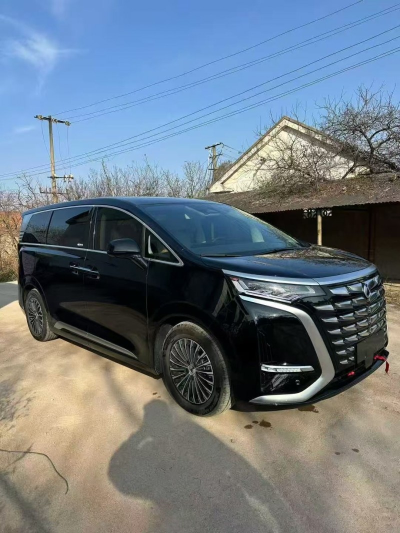 淄博24年腾势D93