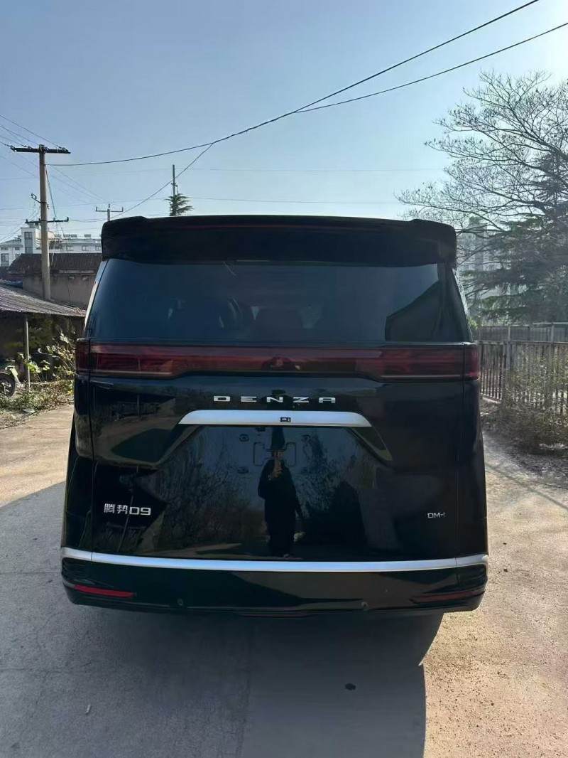 淄博24年腾势D99