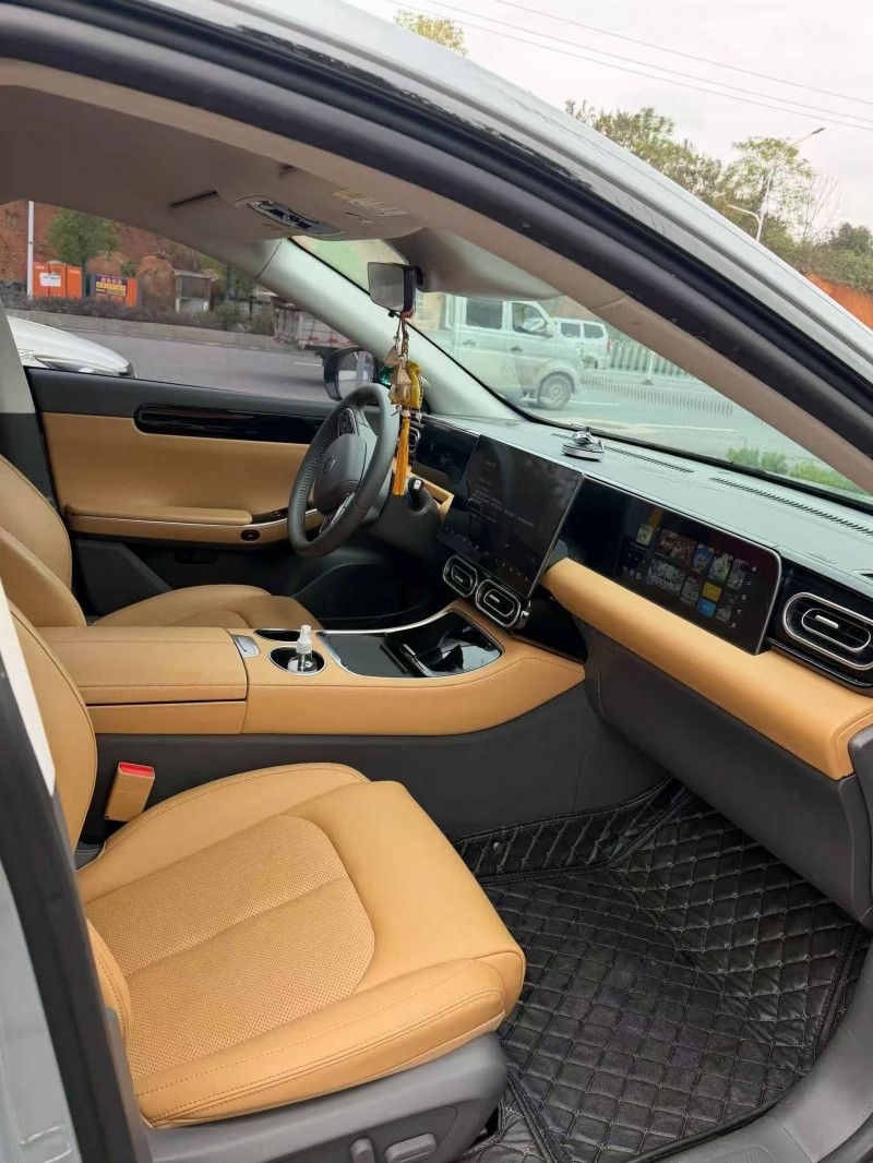 衡阳24年零跑汽车C017