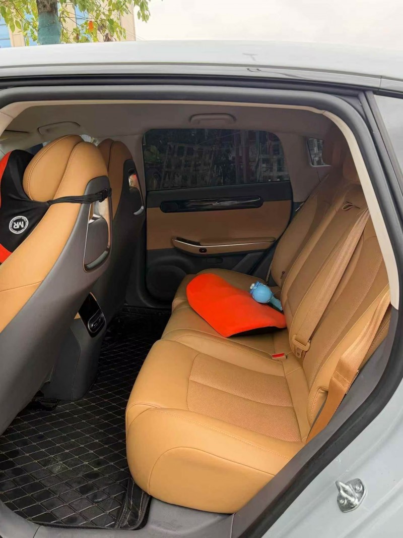 衡阳24年零跑汽车C019