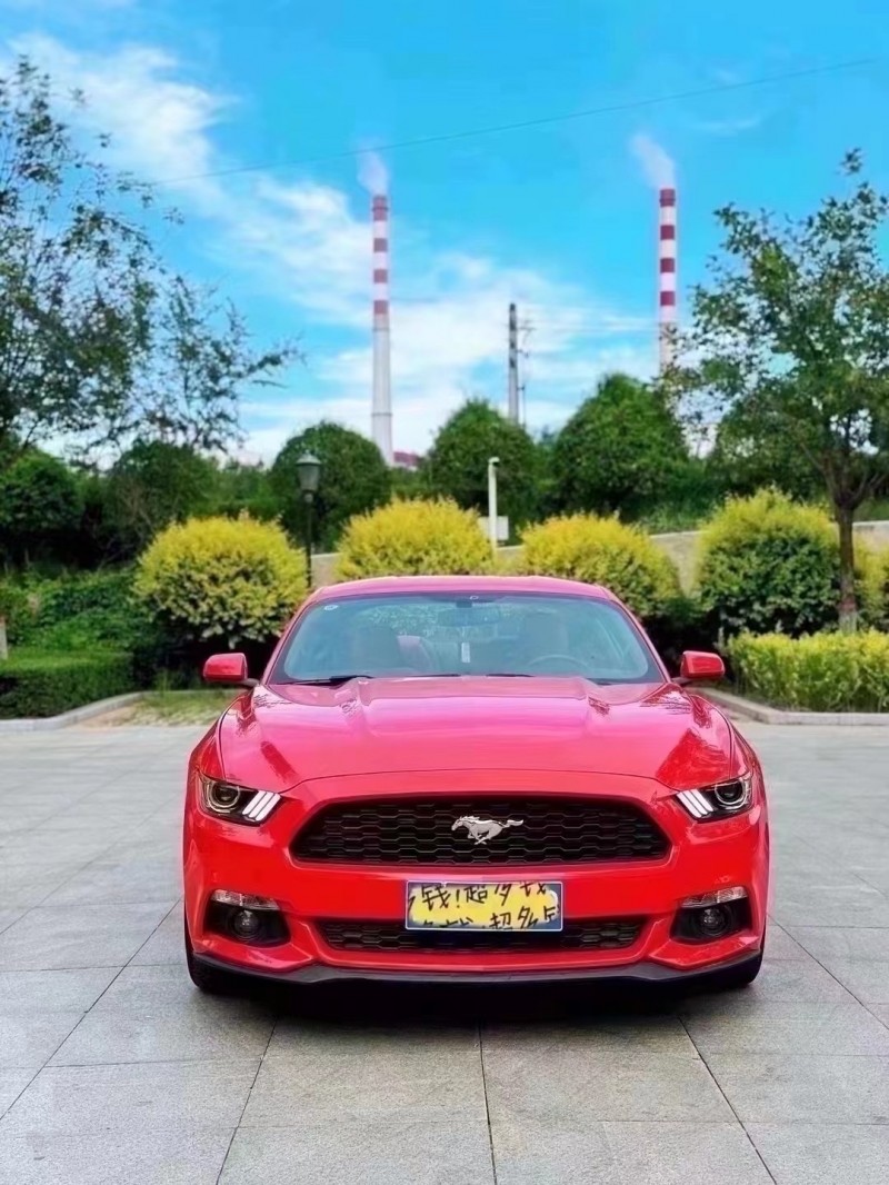 忻州19年福特野马1