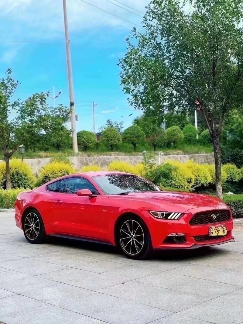 忻州19年福特野马2