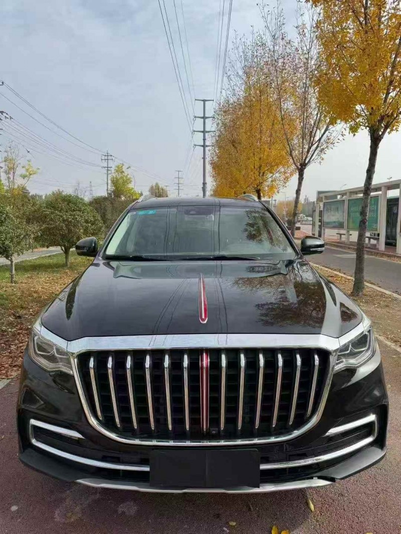 枣庄20年红旗HS71