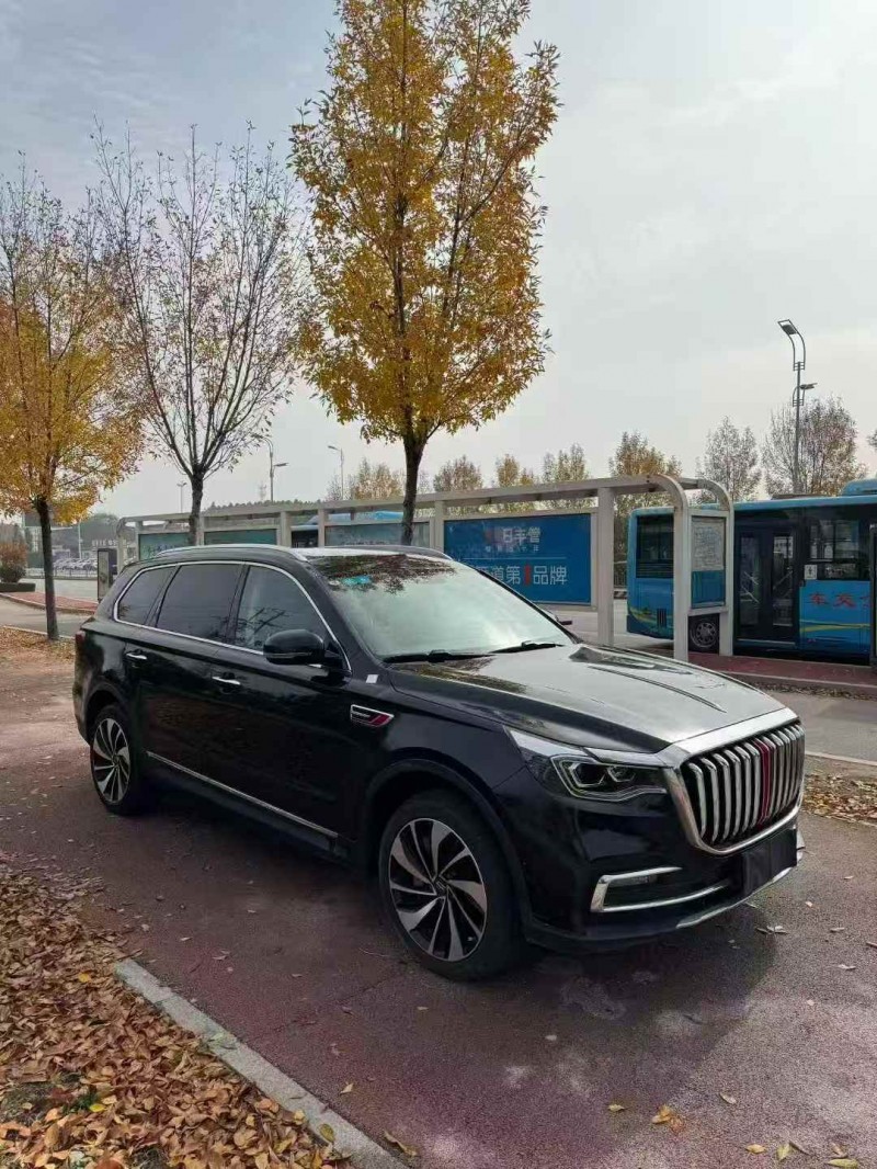 枣庄20年红旗HS73