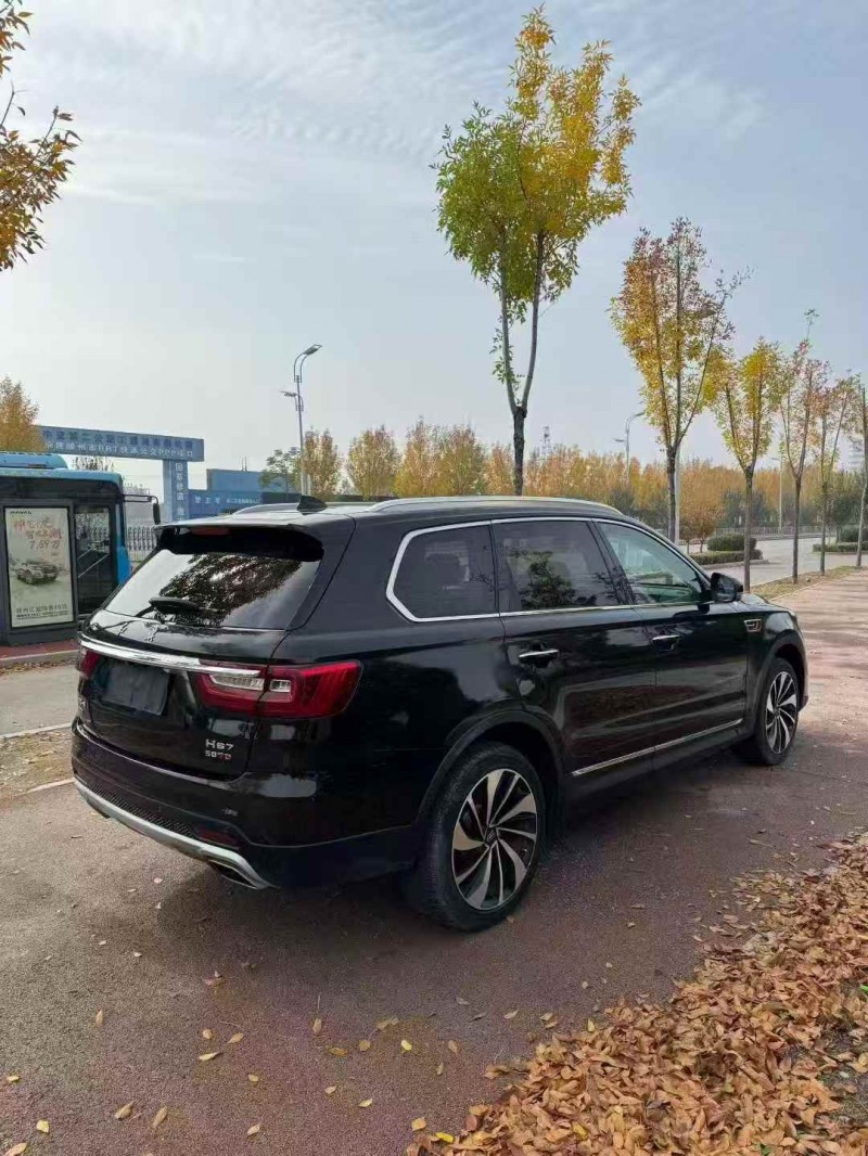 枣庄20年红旗HS78