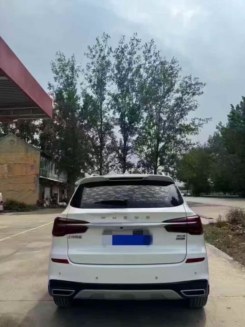 菏泽20年荣威RX59