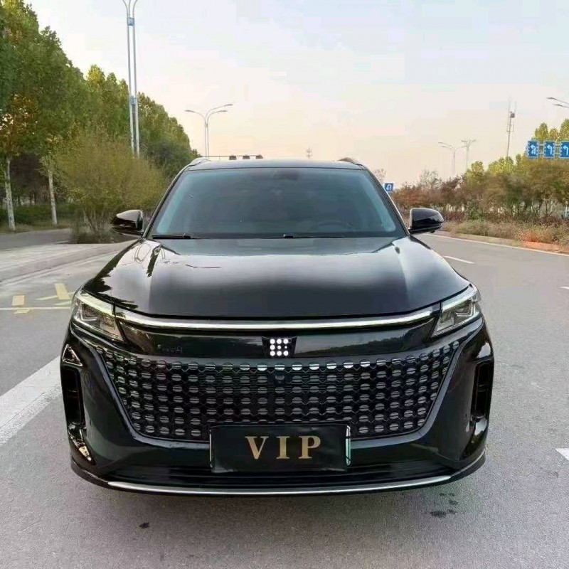 淄博24年东风蓝电E51