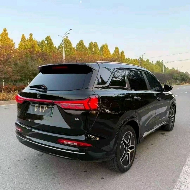 淄博24年东风蓝电E59