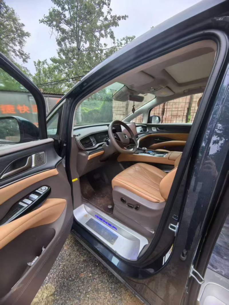 西安24年腾势D95