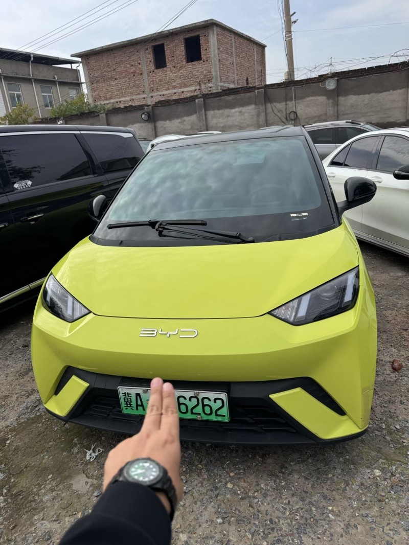 邢台24年比亚迪海鸥1