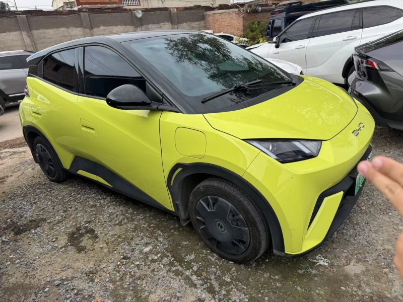 邢台24年比亚迪海鸥2