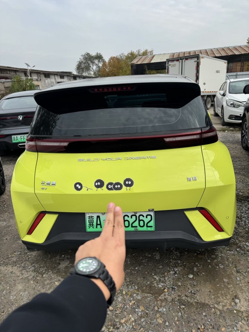 邢台24年比亚迪海鸥7