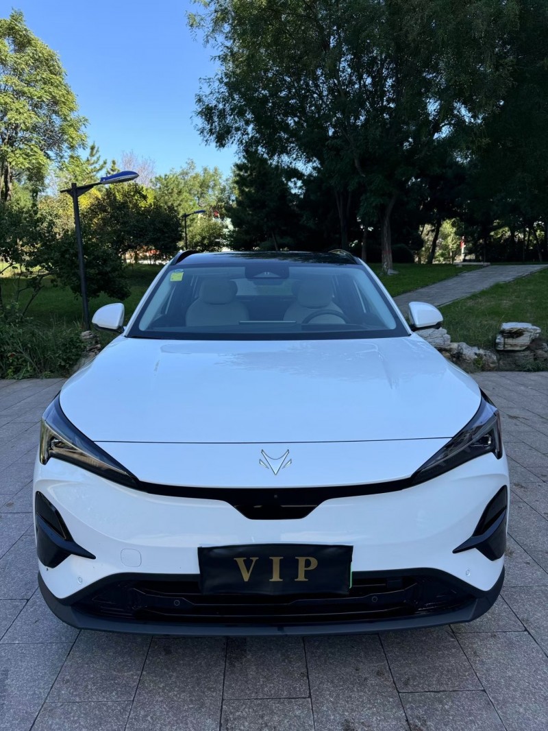 邢台25年极狐汽车阿尔法1